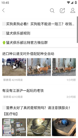 猛犬俱乐部游戏截图