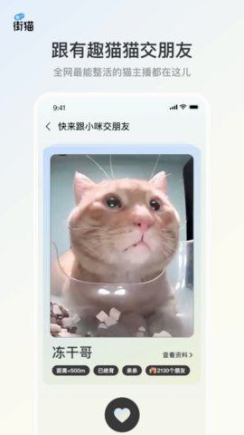 哈啰街猫截图欣赏