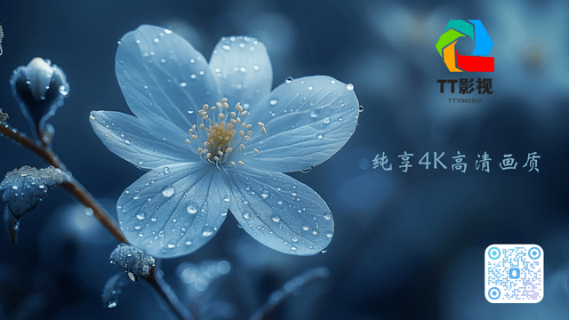 TT影視