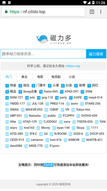 找磁力截图欣赏