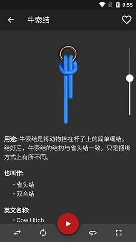 Knots3D游戏截图