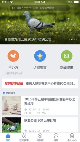 咕咕信鸽游戏截图