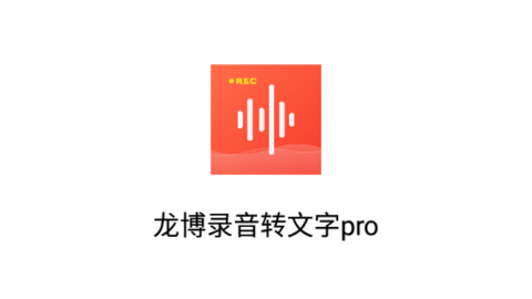 龙博录音转文字pro