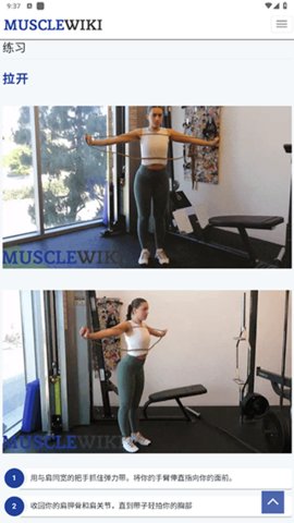 MuscleWiki游戏截图