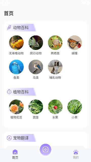 动物识别截图欣赏