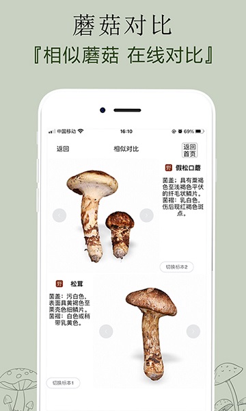 菌窝子游戏截图