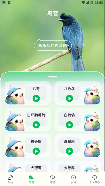 鸟语交流器游戏截图