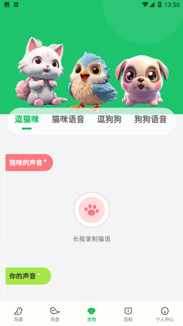 鸟语交流器游戏截图