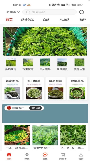 一灯茶网游戏截图