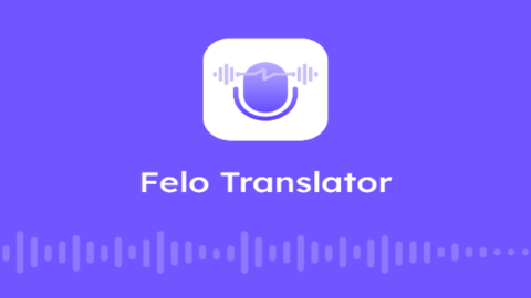 Felo实时翻译