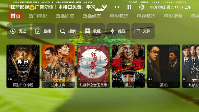 紅菏影視
