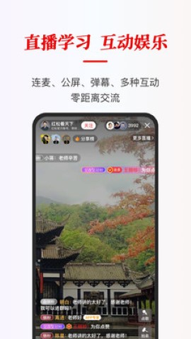 红松游戏截图