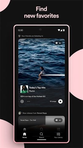 声破天spotify截图欣赏