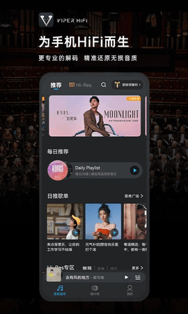 viperhifi游戏截图