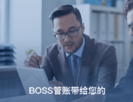 BOSS管账软件