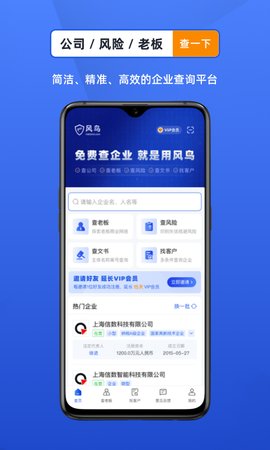 风鸟企业查询游戏截图