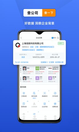 风鸟企业查询游戏截图