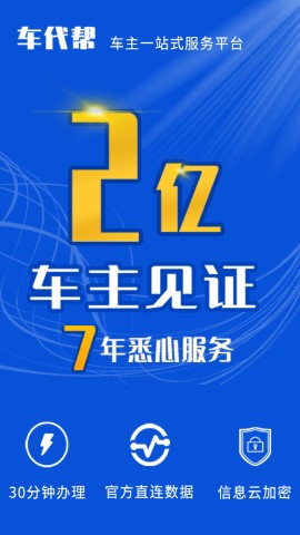 121233车辆违章查询游戏截图