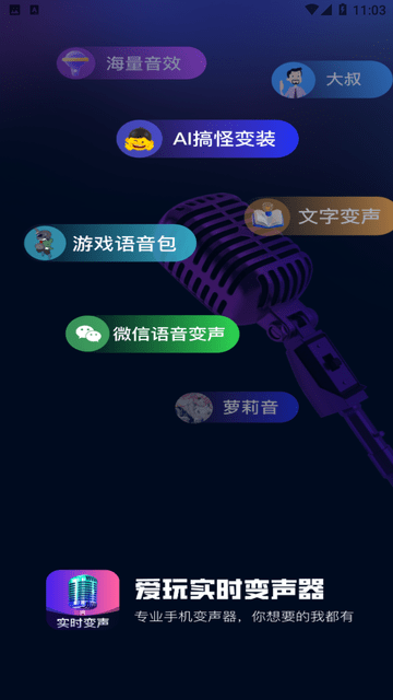 爱玩实时变声器游戏截图