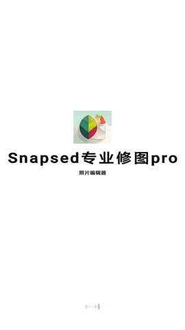 Snapsed专业修图游戏截图