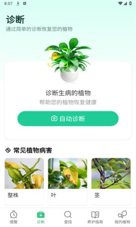 Plant Parent截图欣赏