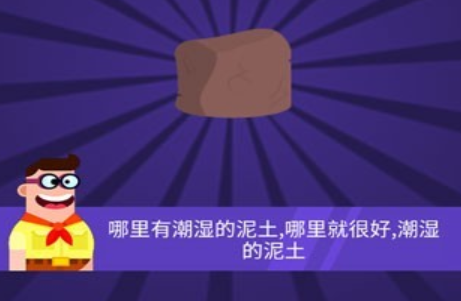 小小炼金术师