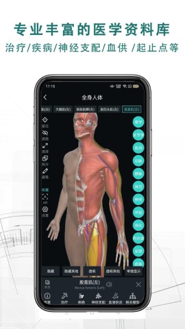 掌上3D解剖截图欣赏