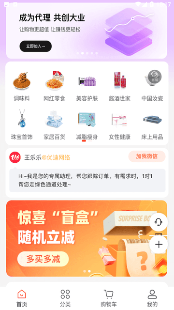 优迪网截图欣赏