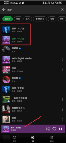 Spotify音乐