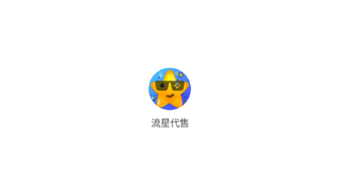 流星代售