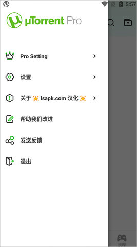 uTorrent Pro截图欣赏