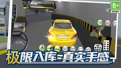 極品榮譽(yù)賽車截圖欣賞