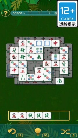 發(fā)發(fā)麻將截圖欣賞