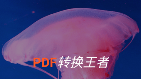 PDF转换王者