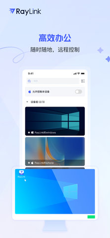 RayLink游戏截图