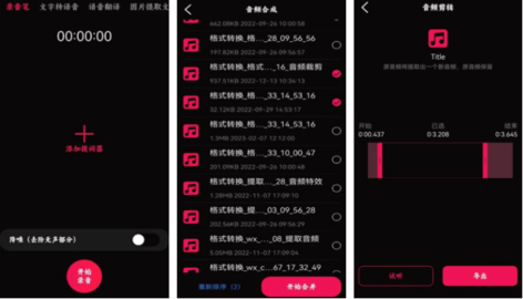 语音录音大师