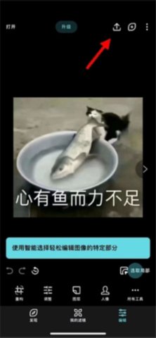 峥鑫乐影