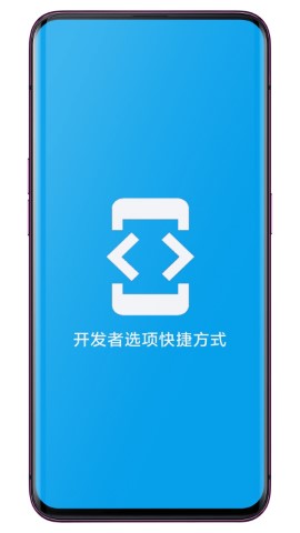 开发者选项快捷方式游戏截图