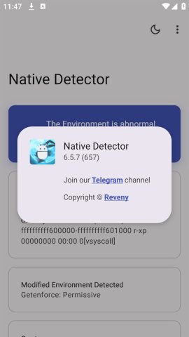 Native Detector截圖欣賞