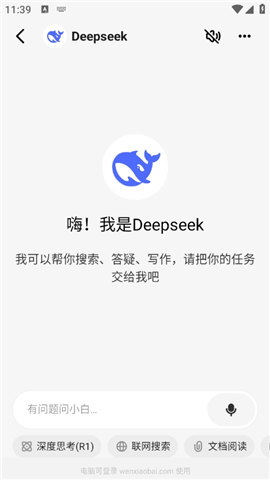 问小白deepseekr1游戏截图