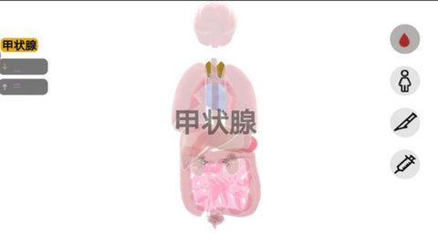 人體細胞模擬器