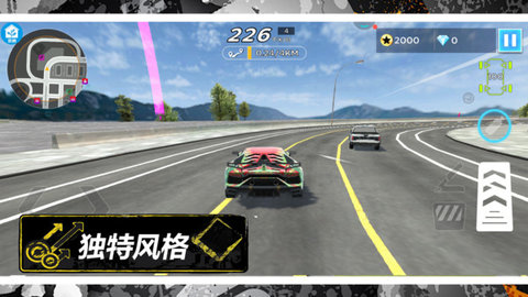 特技賽車(chē)手