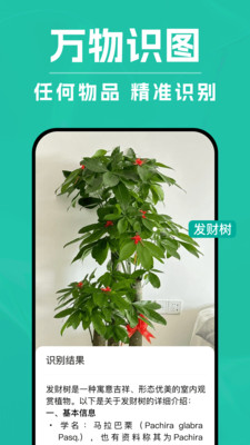DeepAI掃描王截圖欣賞