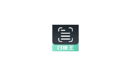 掃描軟件