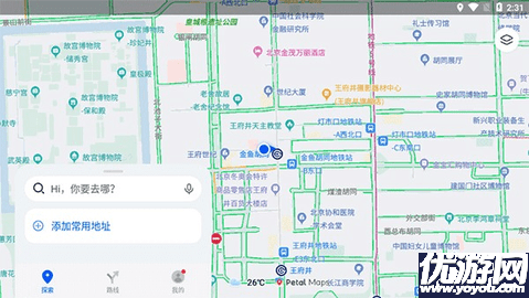 Petal Maps游戏截图