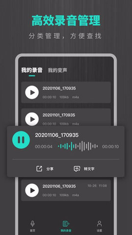 專業(yè)錄音機截圖欣賞