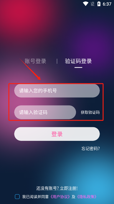 彩虹鳥(niǎo)