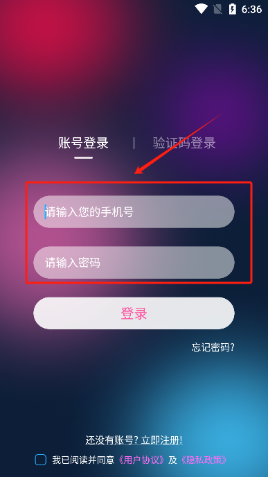 彩虹鳥(niǎo)