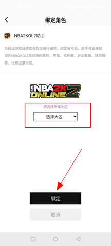 nba2k助手