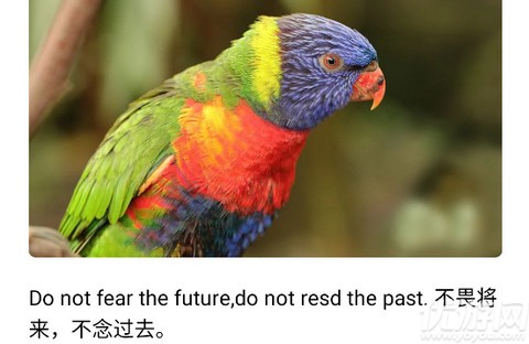 文案素材之家